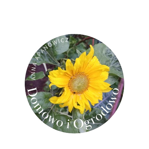 DOMOWO I OGRODOWO